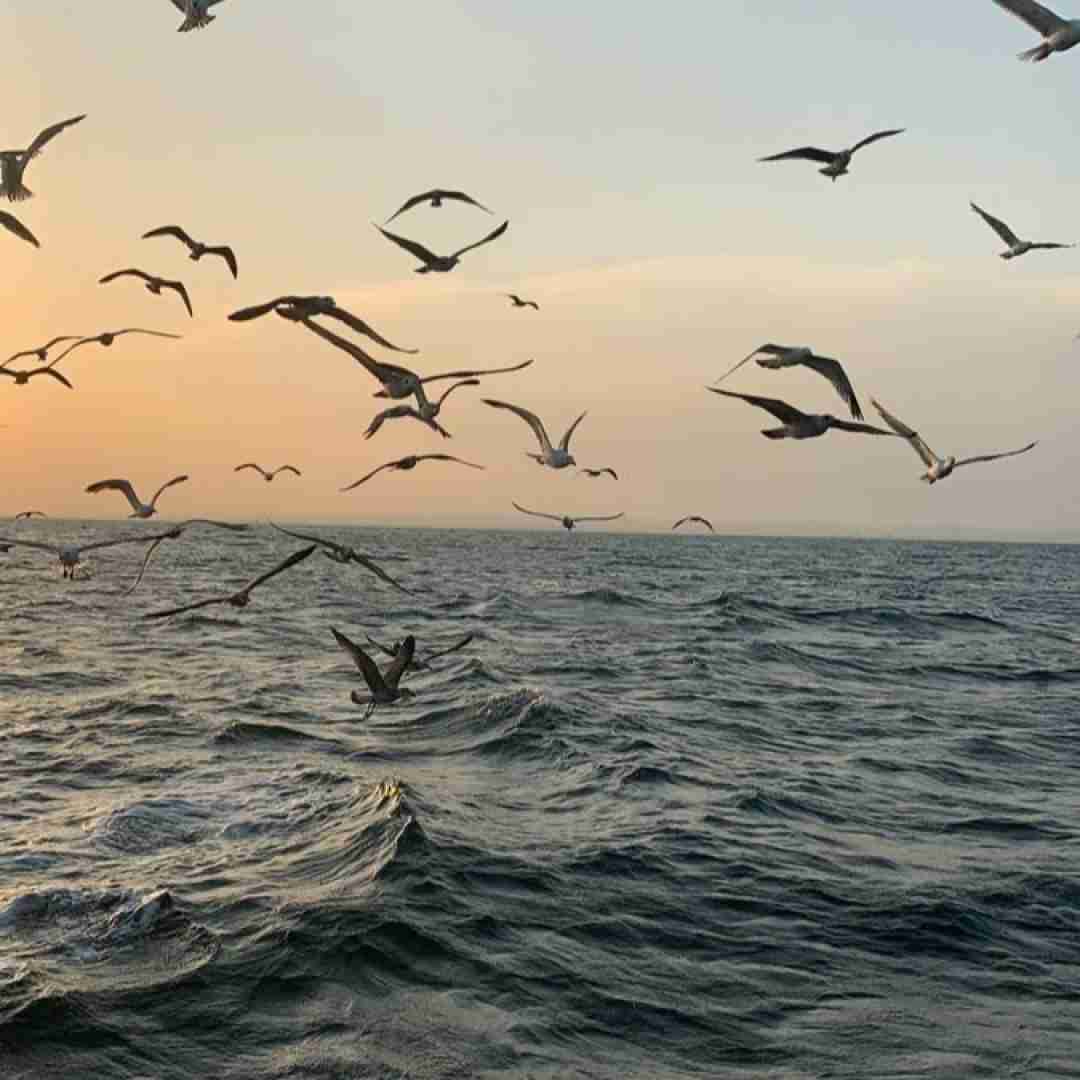  نفسم بودی الان تو ریم دودی یه آسمان ستاره با صدای پسر اینستایی