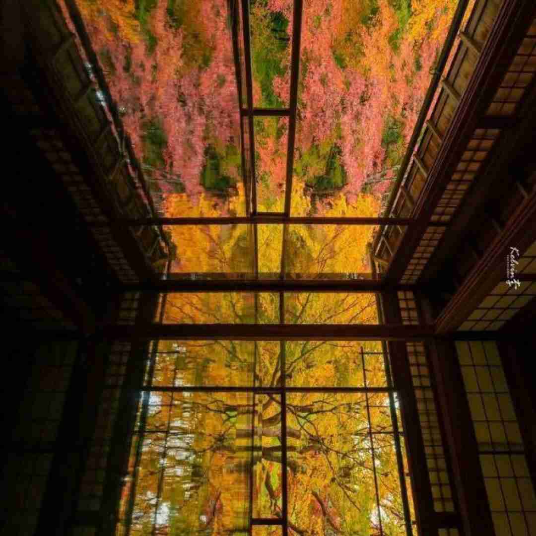 فاطمه عطایی جان دلبر