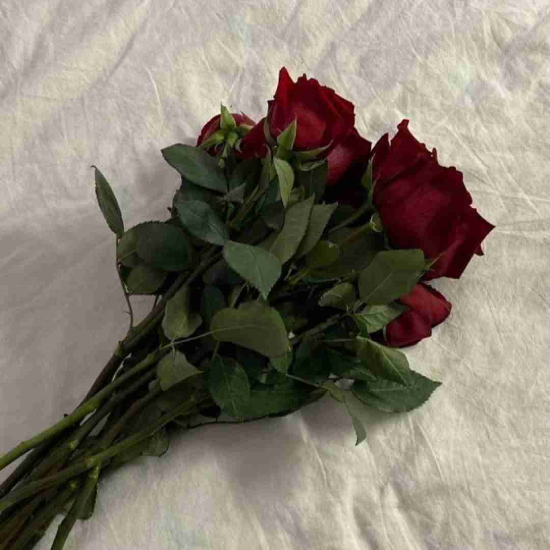 یادمه باهات کلی شب صبح شدن انقد رد دادم
