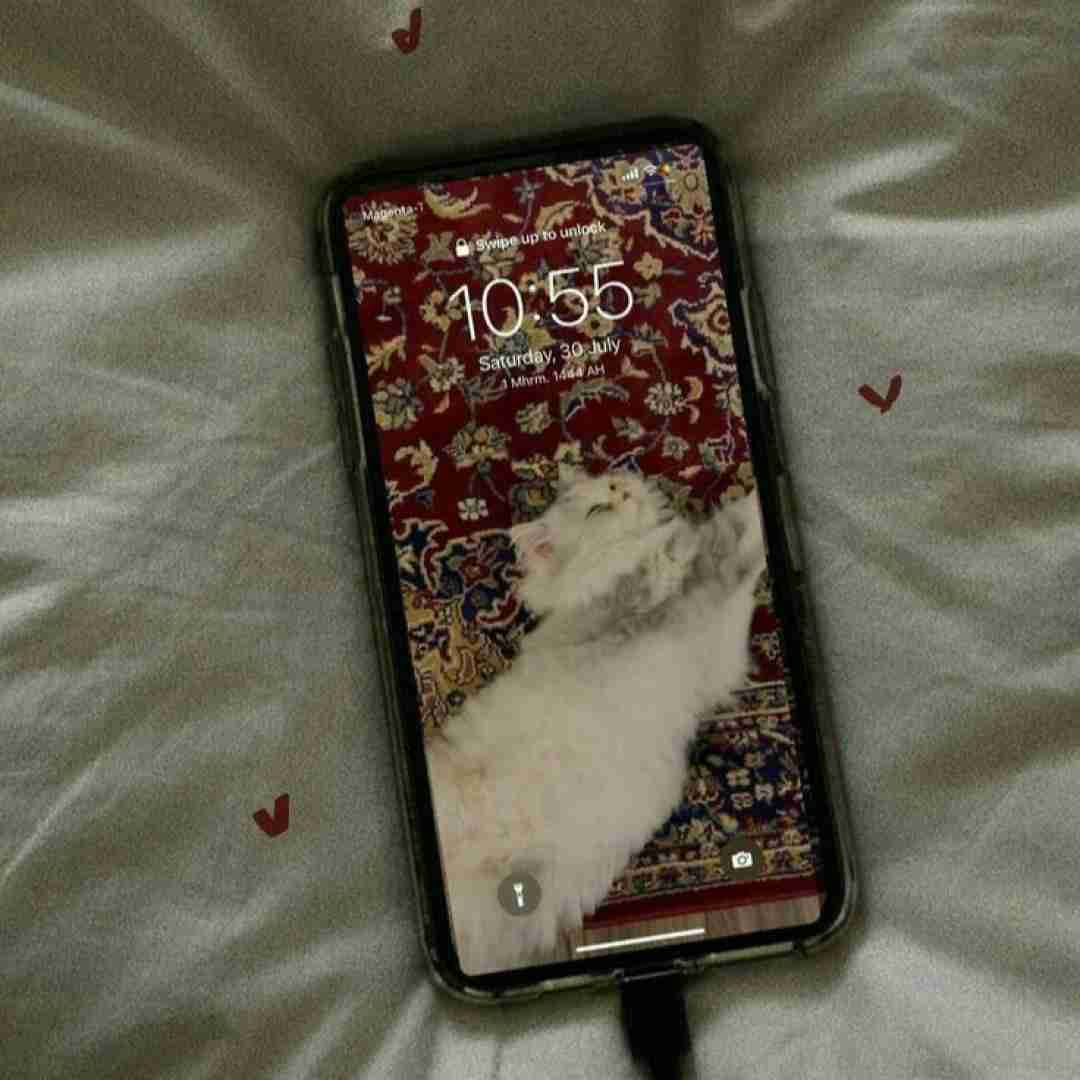  میاره دو تا پیک جلو روم و هی میگه (ترند اینستایی)