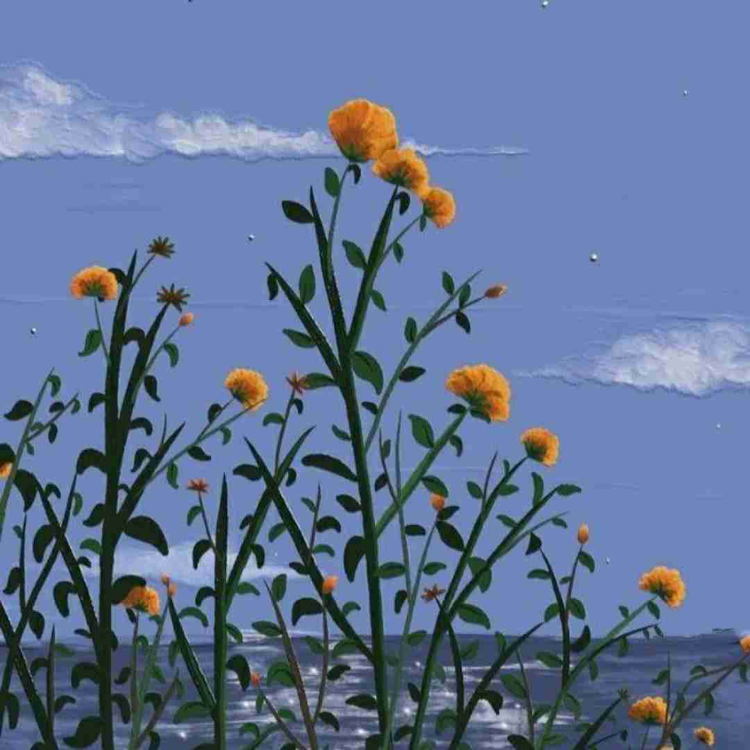 فقط منم که میشنوم غمو تو خنده هات