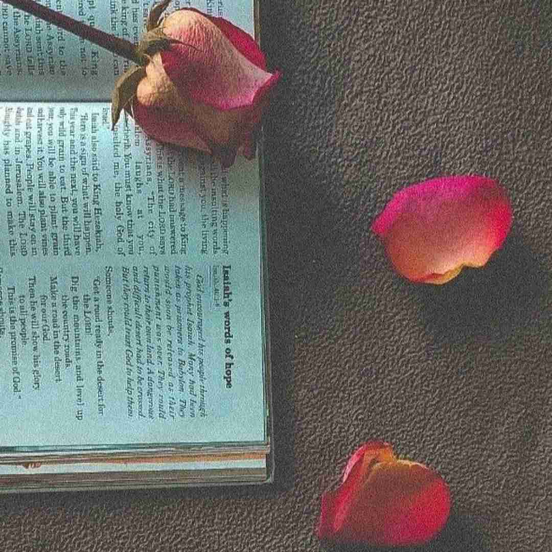  منطقم میگه ولش کن بره اما این دله که باز دو دله
