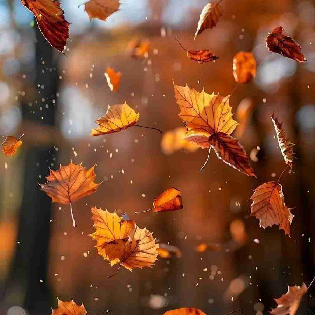 میزنم یه ست بلک با دخترم