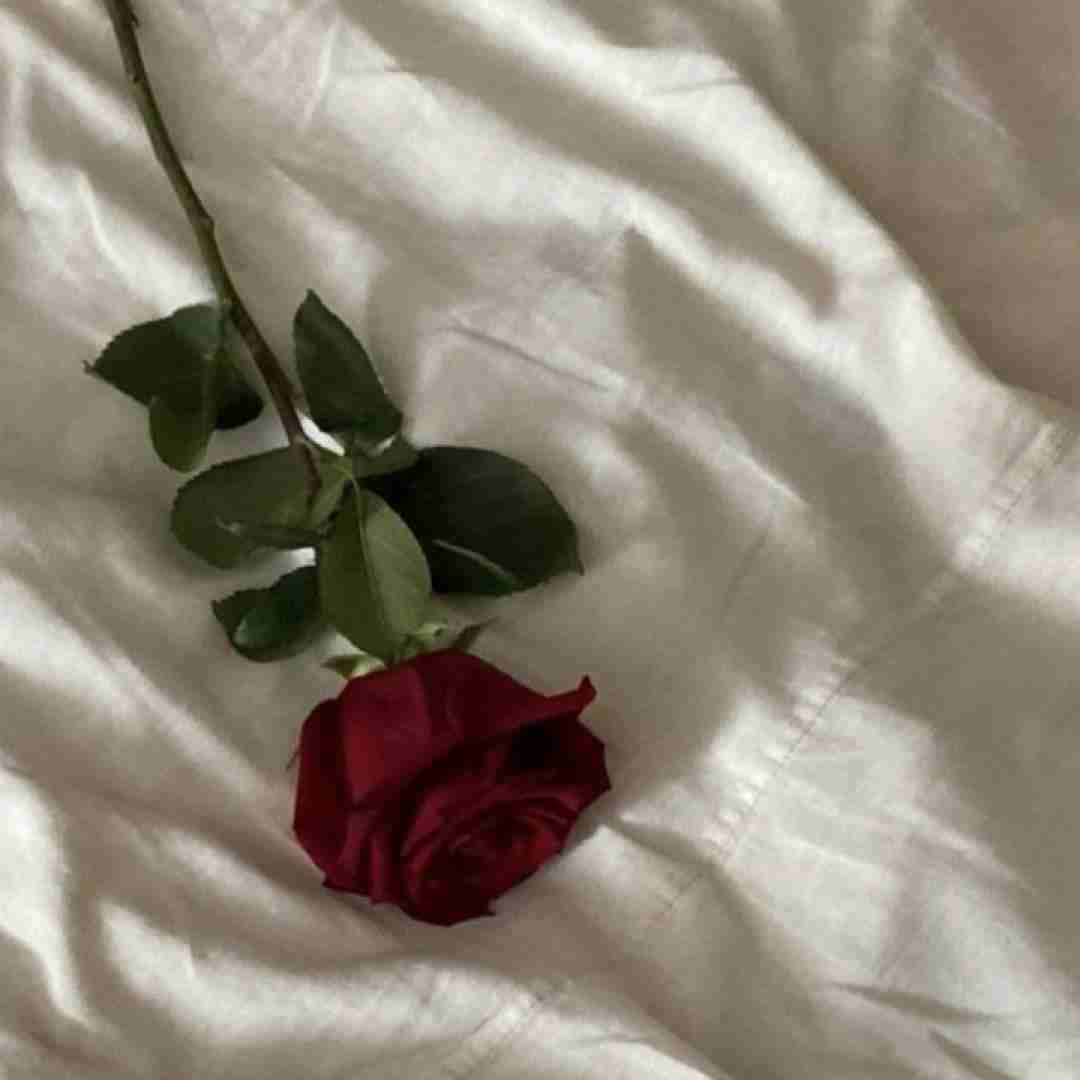 دافه چیر که میندازه چفیه قیافه که نه با صدای پسر اینستایی