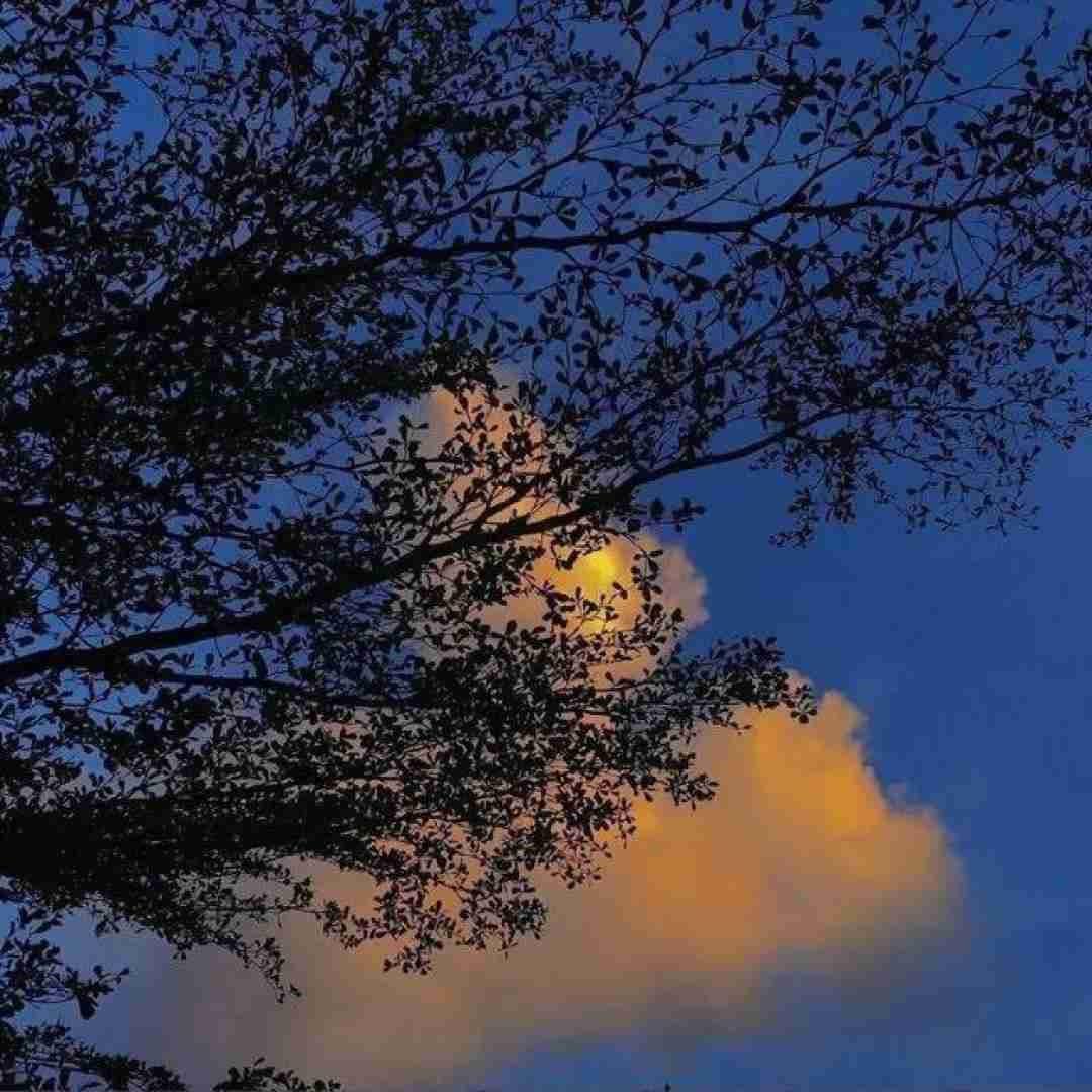 ستایش صادق زاده ظالم