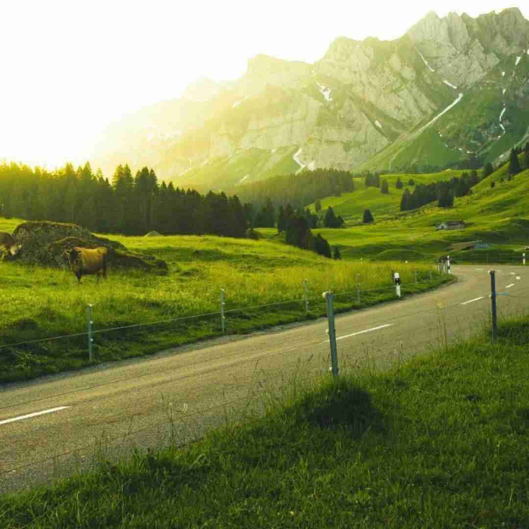 اینجا فحش ناموسی تعطیل ناسلامتی مردین