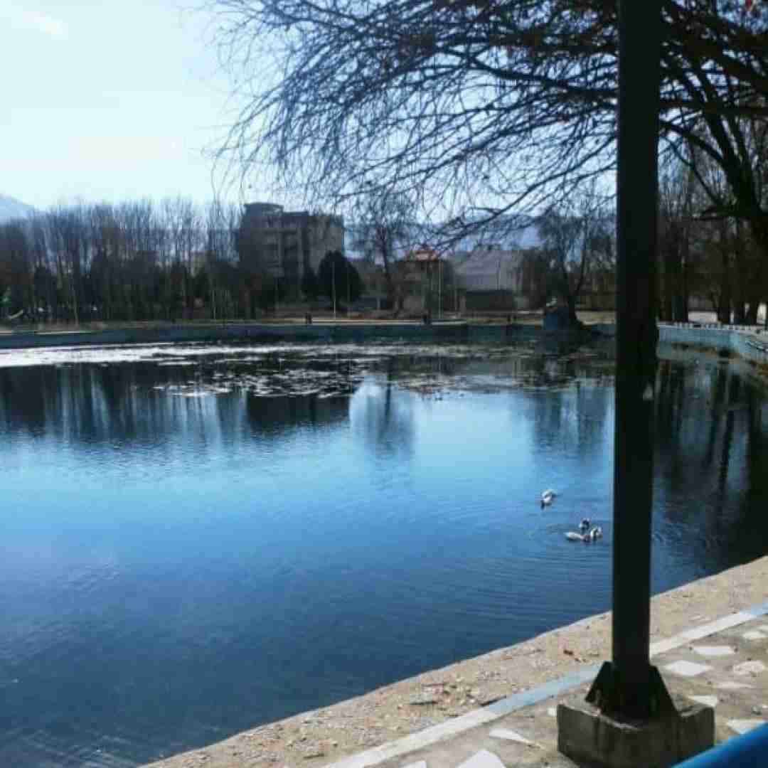 کرد طبیعت پر پر گلمو دیگه نمیشناسم حتی خودمو با صدای پسر اینستایی