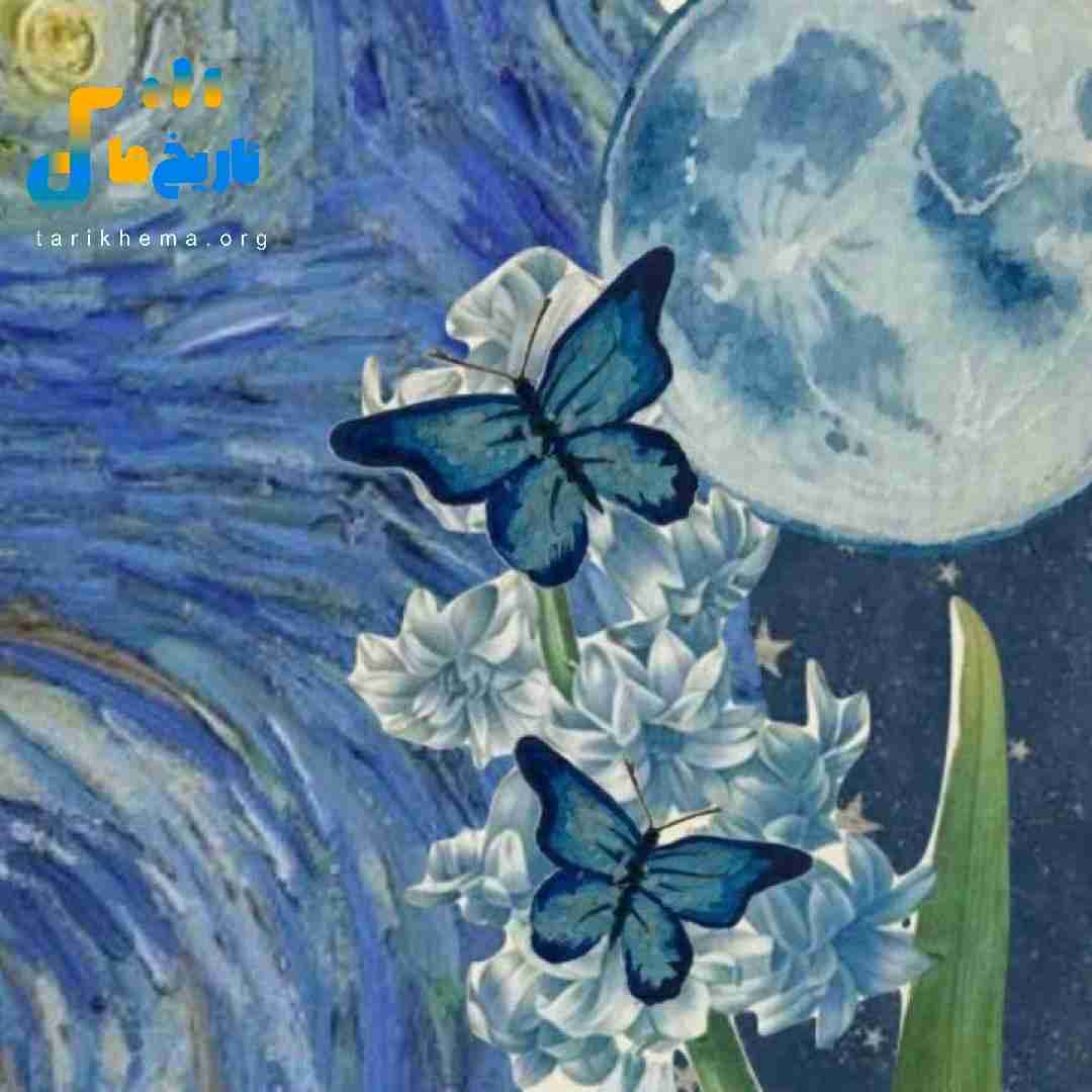 فاطمه مهلبان خیال