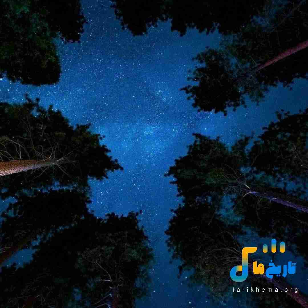 ستایش صادق زاده خوشه چین