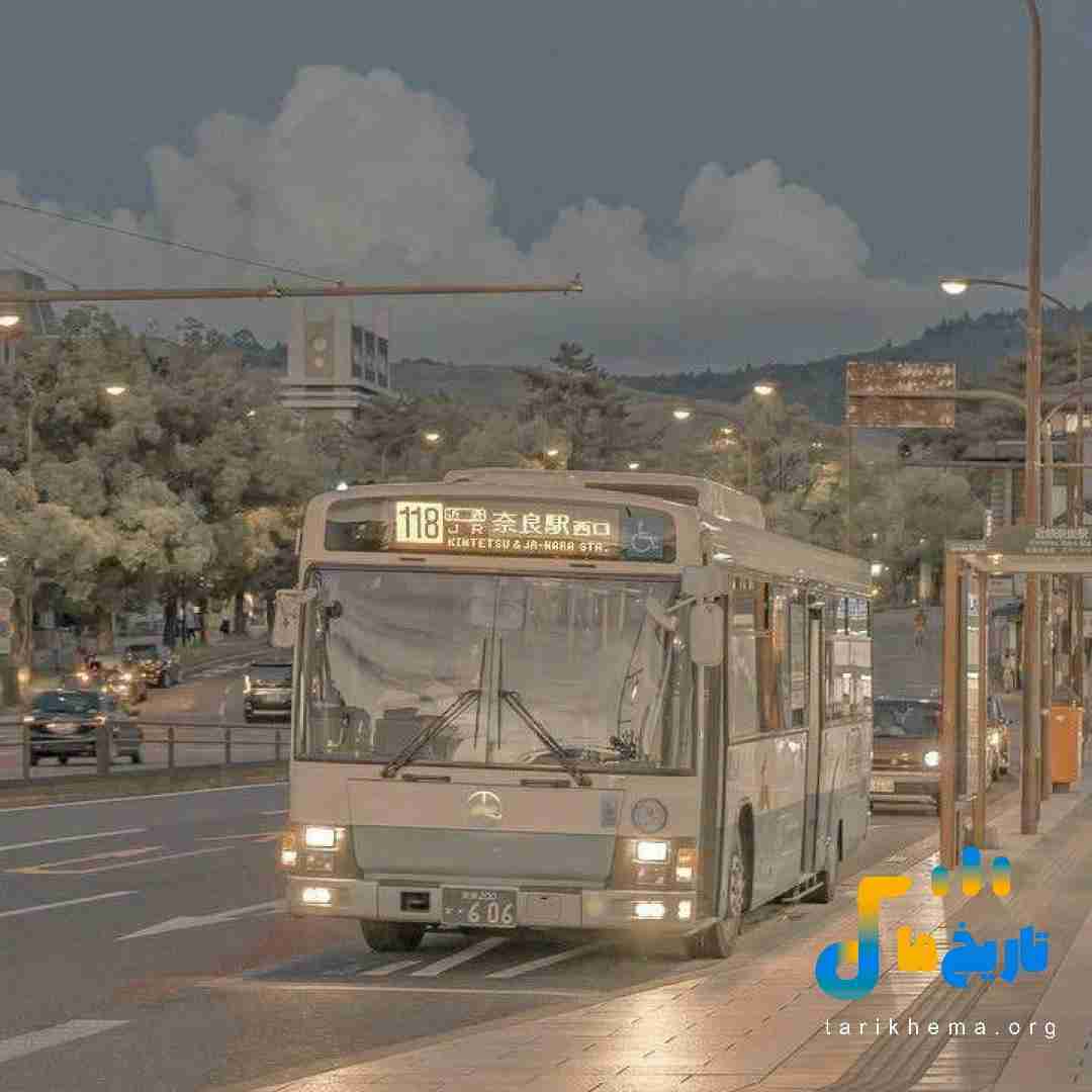 فاطمه رحمانی غریبی