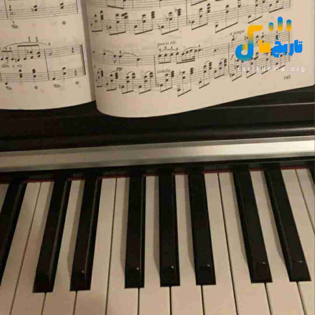 دستامو میگیره آروم میگه عرصمی هوسمی قفسمی