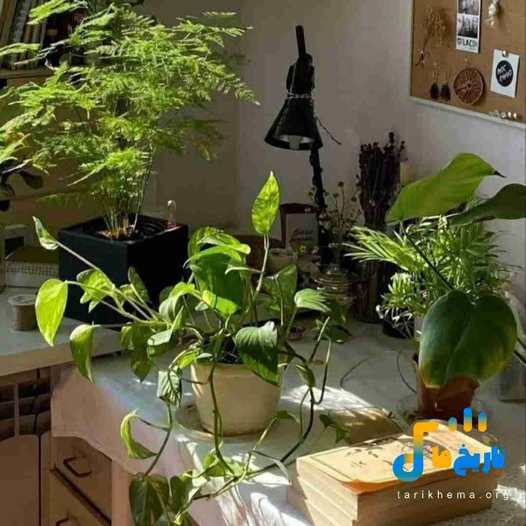  همه رفتن همه از دم هرکی رو پاش موند دمشم گرم