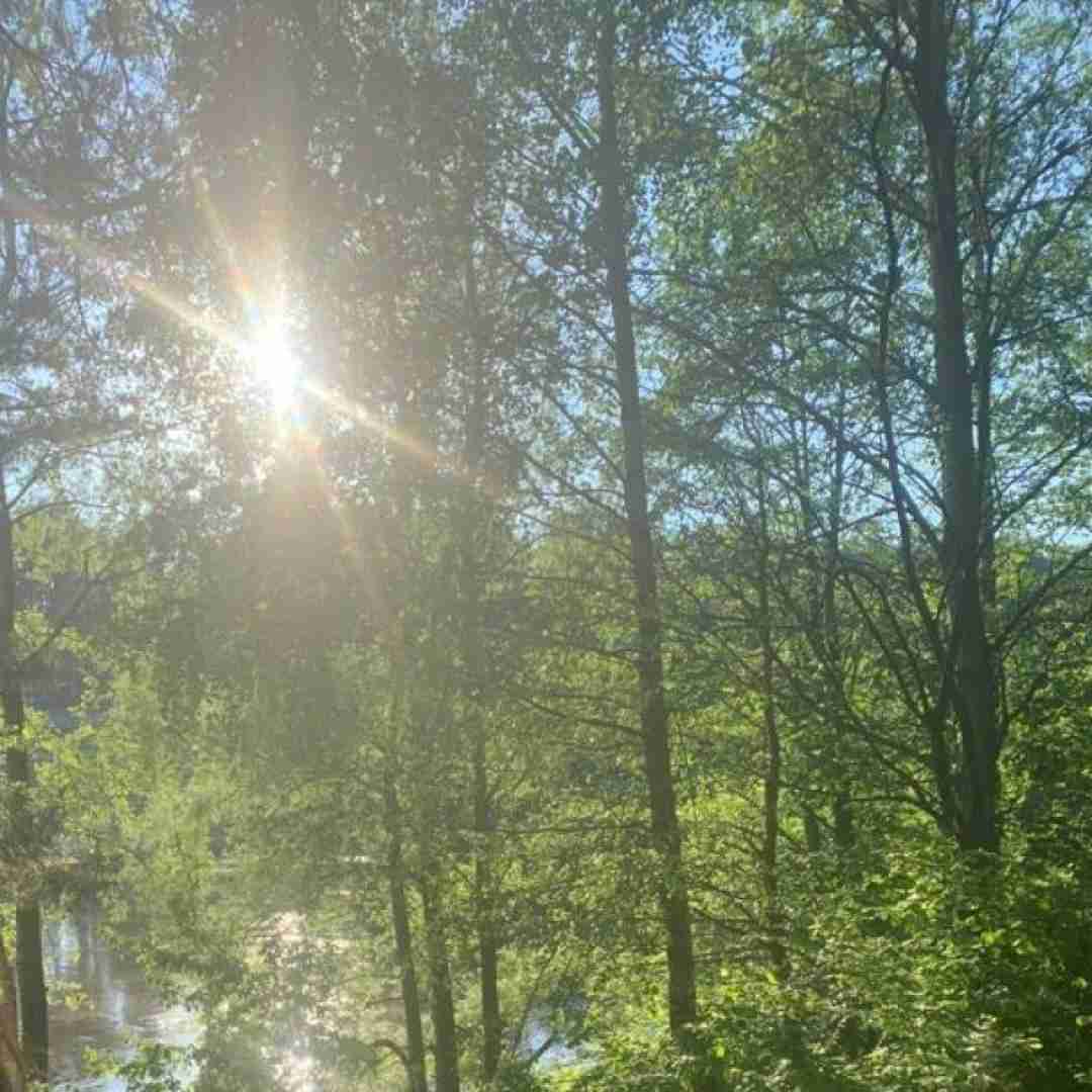 پروا بسه هرچی سرمون رفته بسه هرچی قلبمو زد