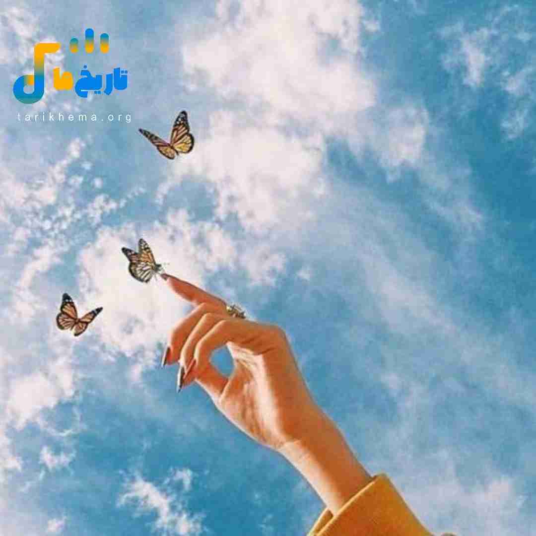  تتوهام زیاد میشن به تو چه سیسمه