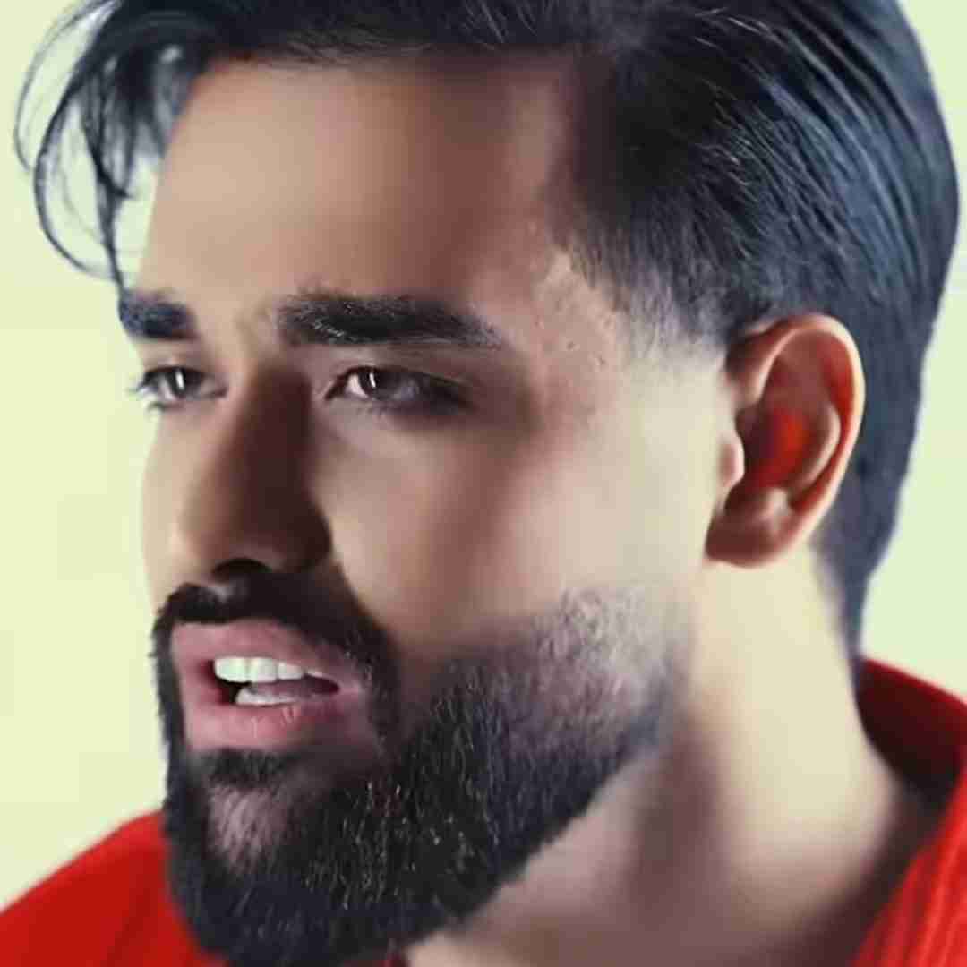 سهیل مهرزادگان دوریت منو آبم کرد یا تنها بمون یا برگرد