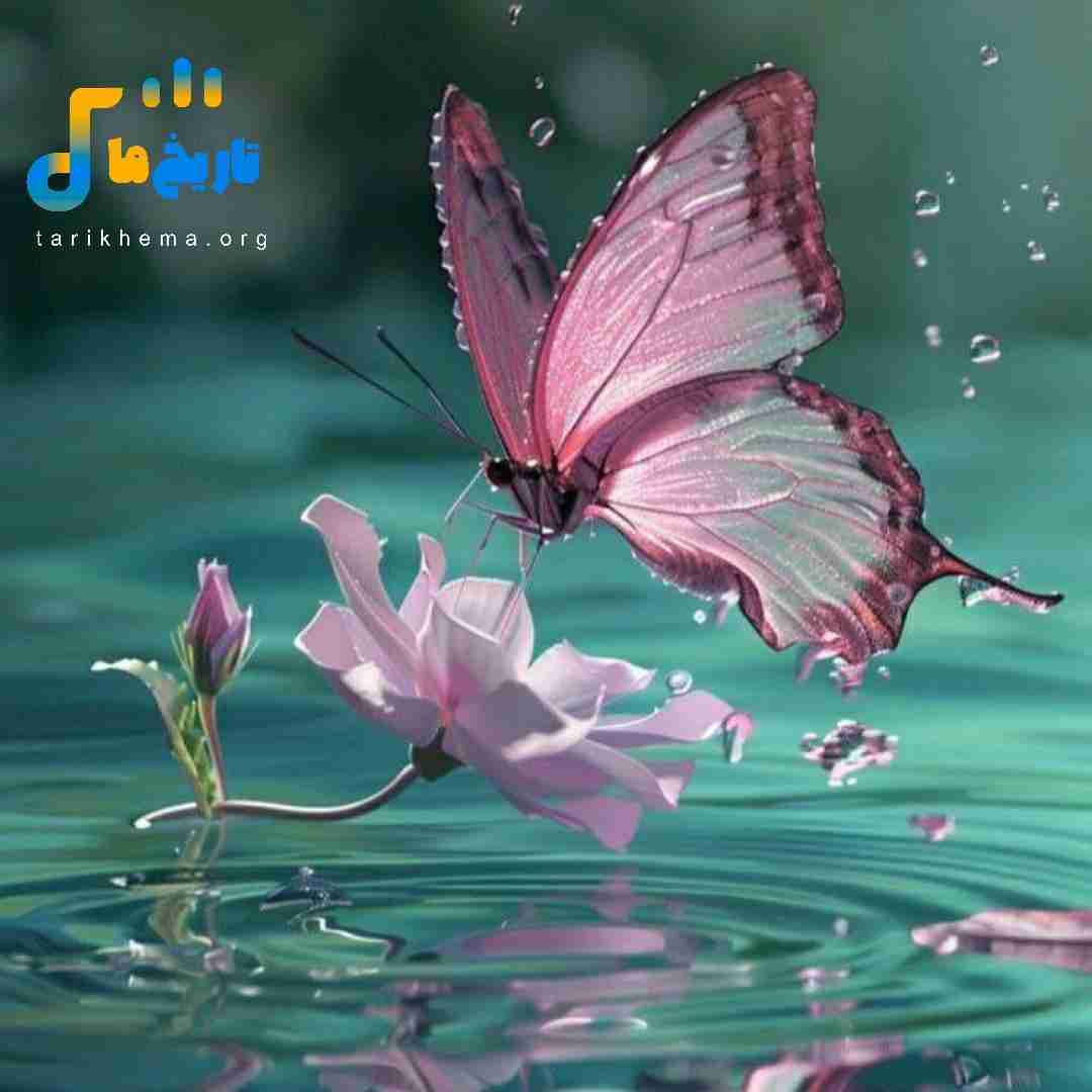 یعنی الان کجای این شهری چطوری از غریبه ها غریبه تر