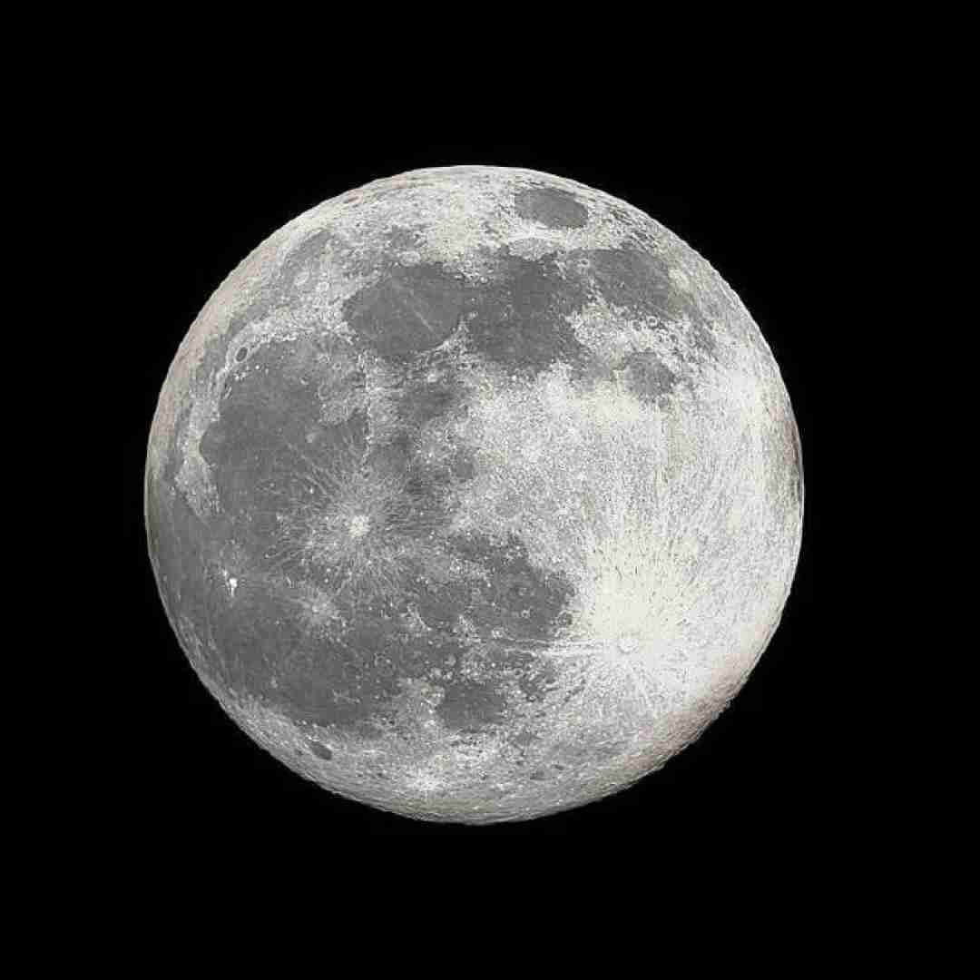 نمیرسه عشقت به من شوخی کردم میخوام حرصت بدم