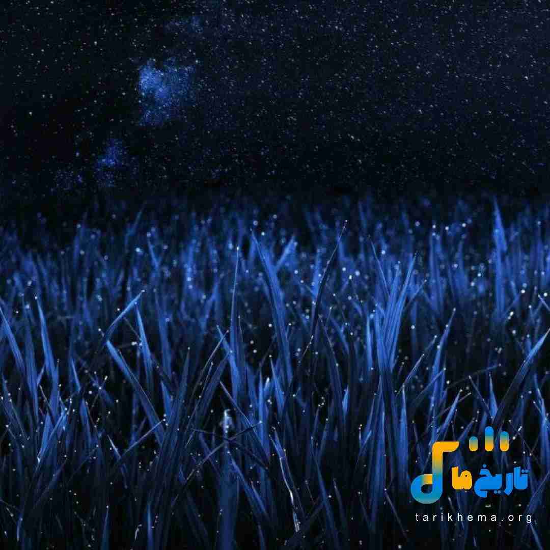  اوه بستی توی هر ژستی به کسی غیر تو