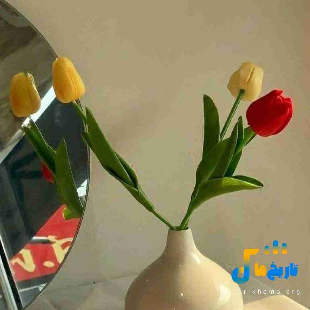 تو سیاهه زندگی همیشه سبز باش اگه نامردی دیدی
