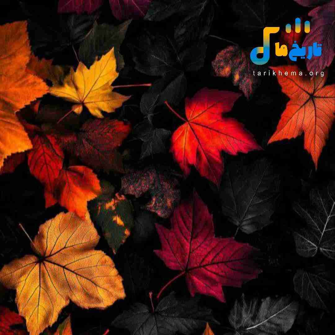 سنا برزنجه نه‌ئنی