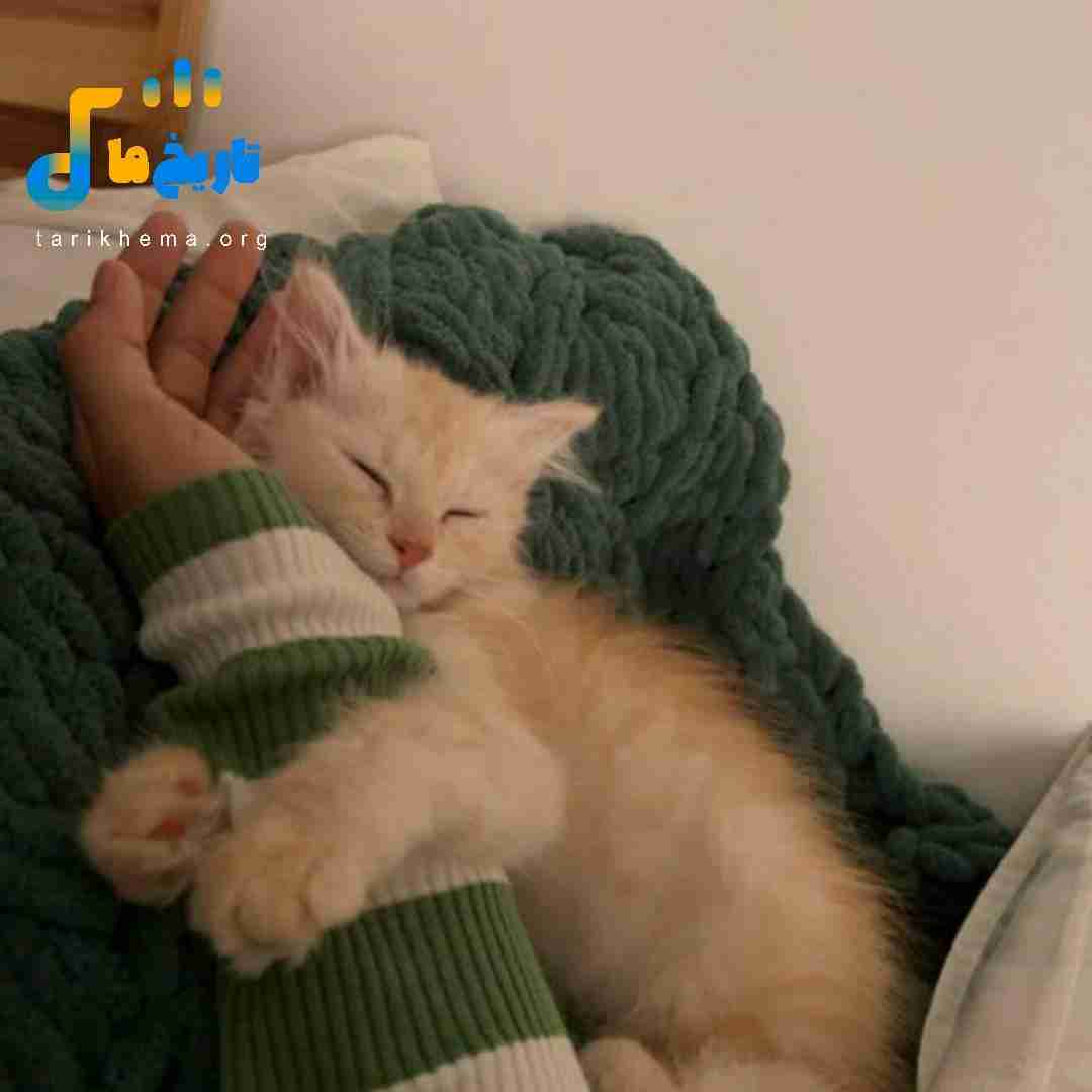 امشب شب تولد توعه نیستمو کنارته اون آدم جدید