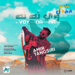 دانلود آهنگ جدید وی نه نه از امیر تنگسیری