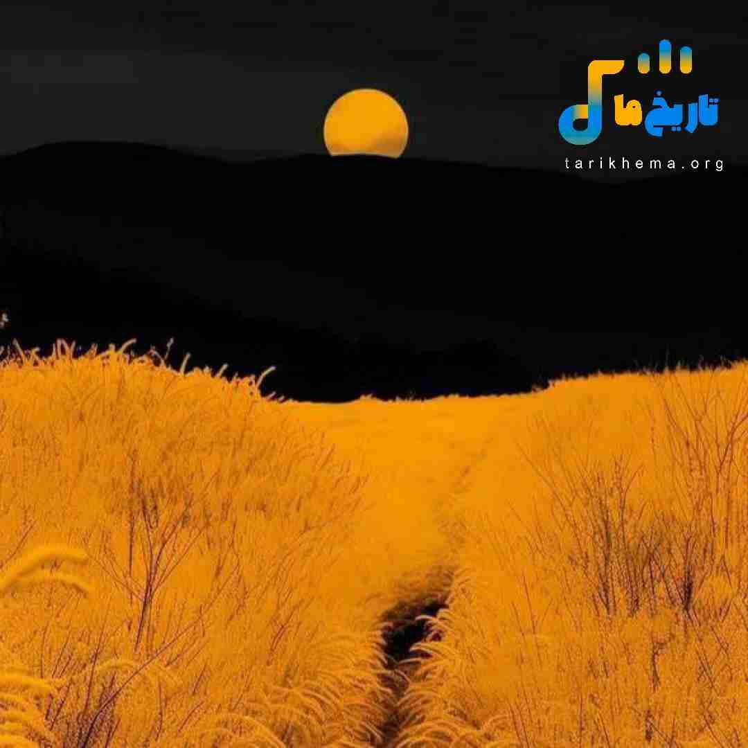 دافت پلنگه چش قشنگه ولی یه جای کارش میلنگه