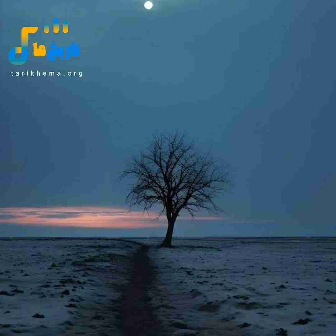 بی صفت فکر کردی کارات یادم میره نه فراموشش راحت نی