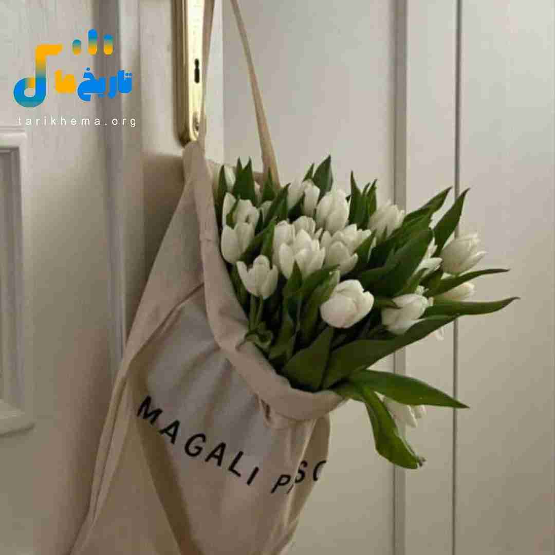  گردن من ننداز اصلا این حال مصدومتو (میکس اینستایی)