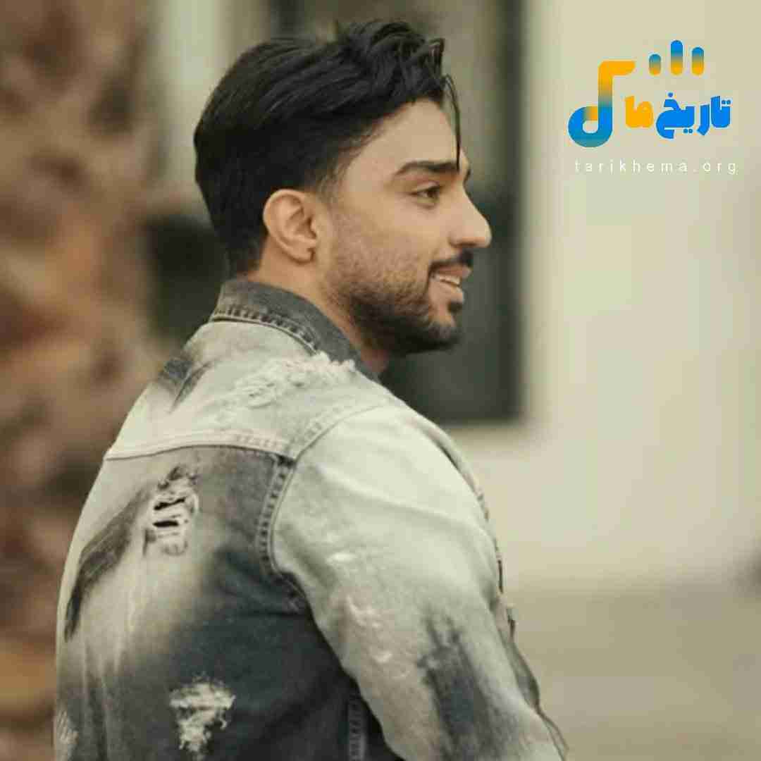 شهاب فالجی ماه شب تارم بی تو مه بیمارم