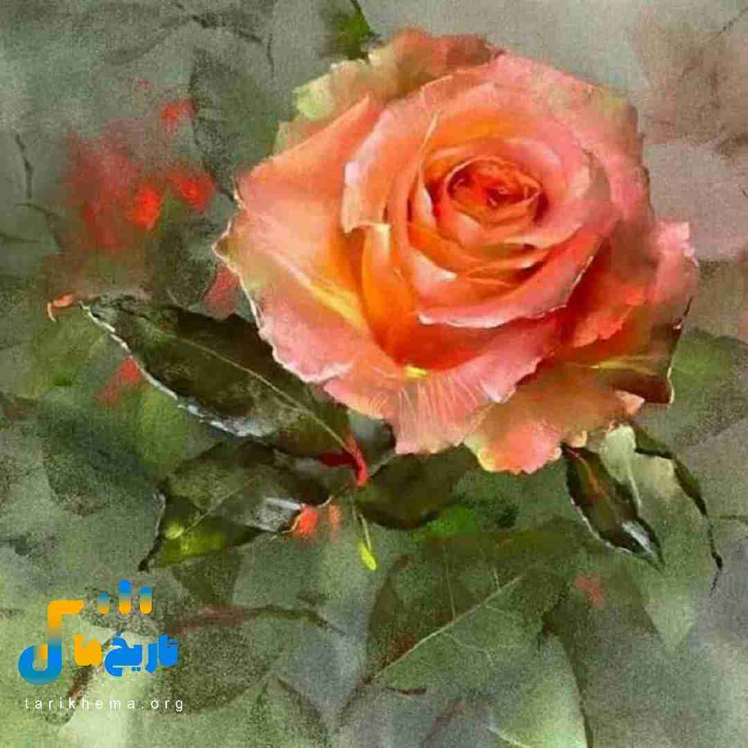 فکر میکردم عشق عجب چرندیه راست میگن
