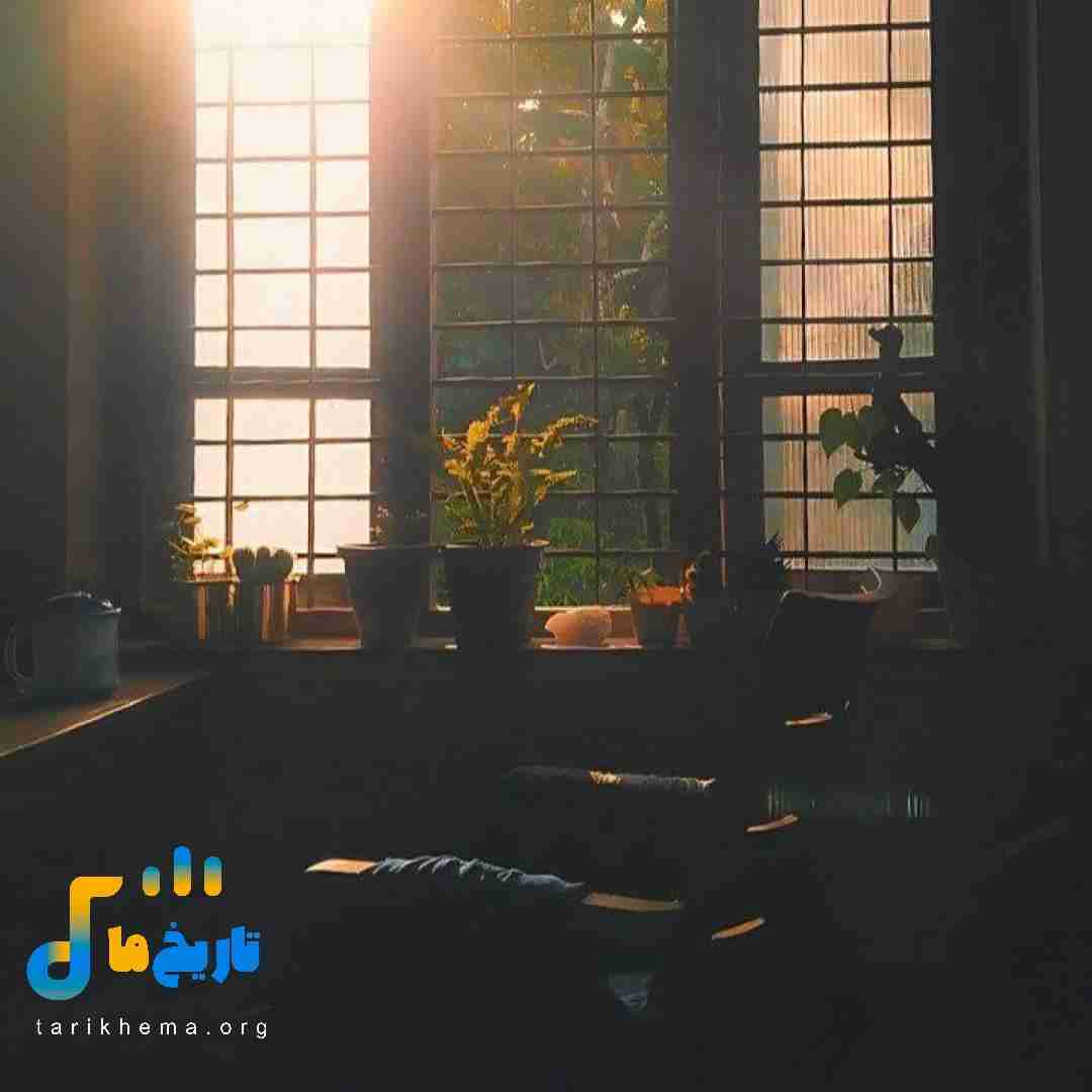 برای من همون گربه خوبه منو گربم ناراحت بودن
