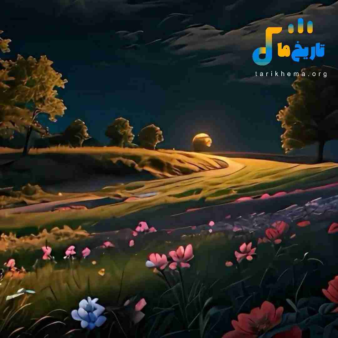  هنو دارم شب گردی قوطی آبجو عقب ماشین بد مستی
