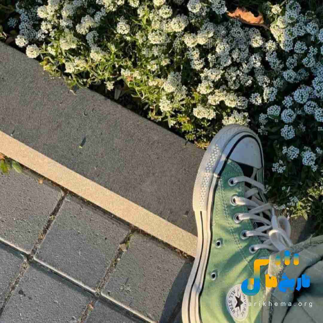  گفتم بهت نرو دلت تنگ میشه واسه من یه روزی (میکس اینستایی)
