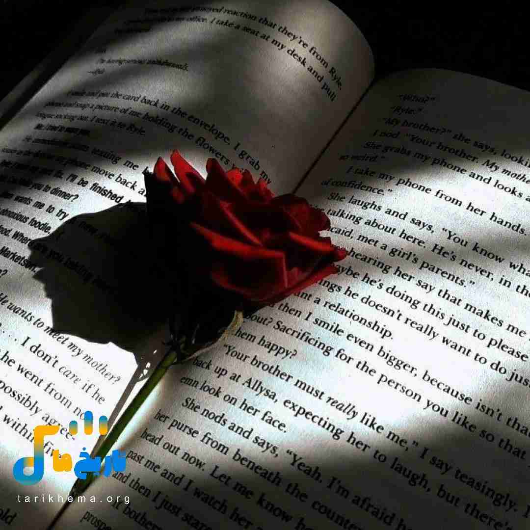خط و زدم جاتو کسی نمیگیره جاتو