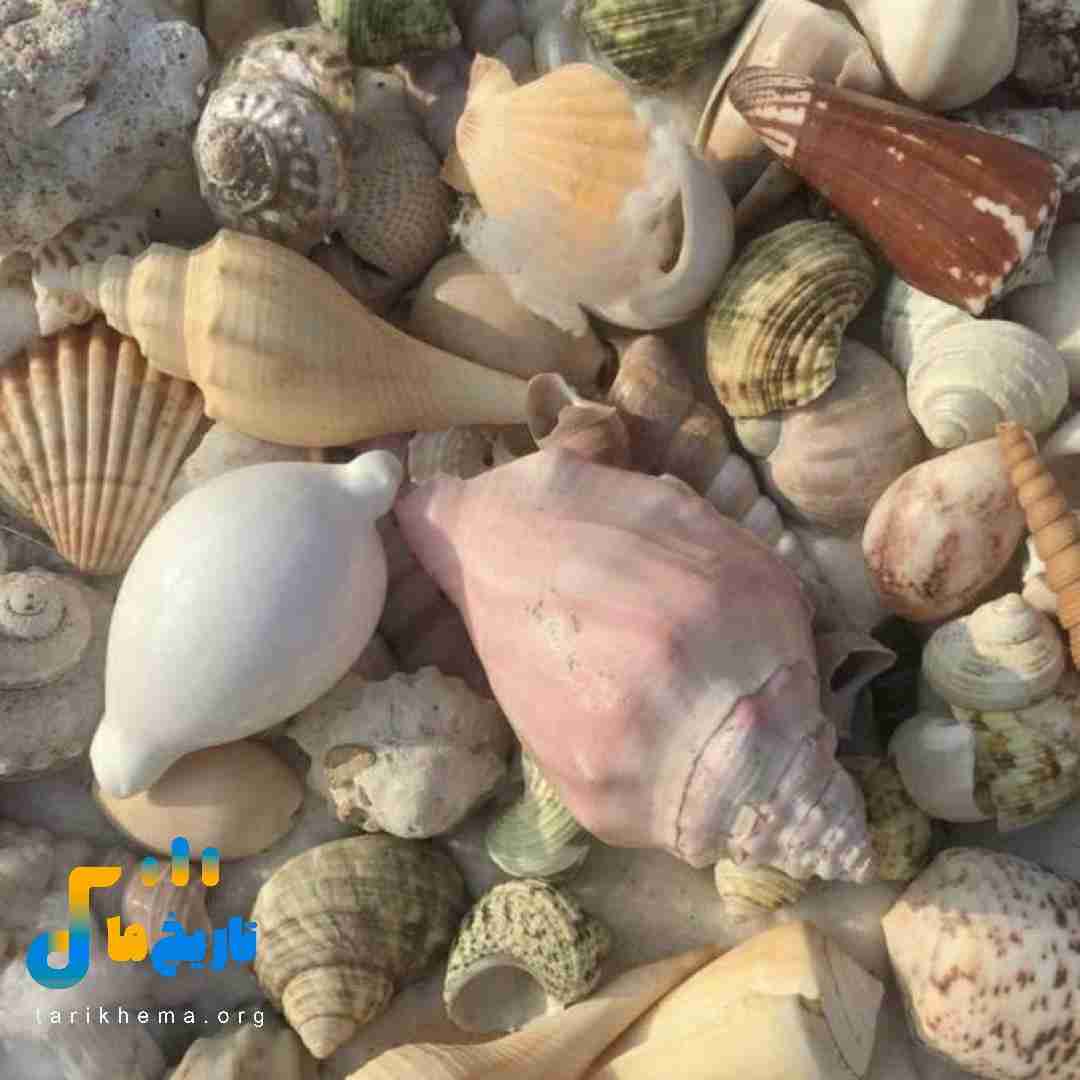 لا به لای این سیگارا دود شدم هرچی