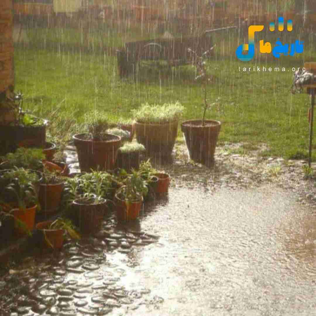 قدرمو ندونست بد شدم انگار استپ