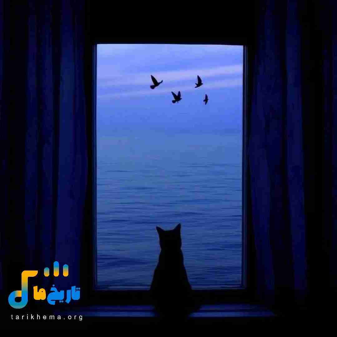 ماهک دلبرم وگه بیو دامته امام زاده بیو