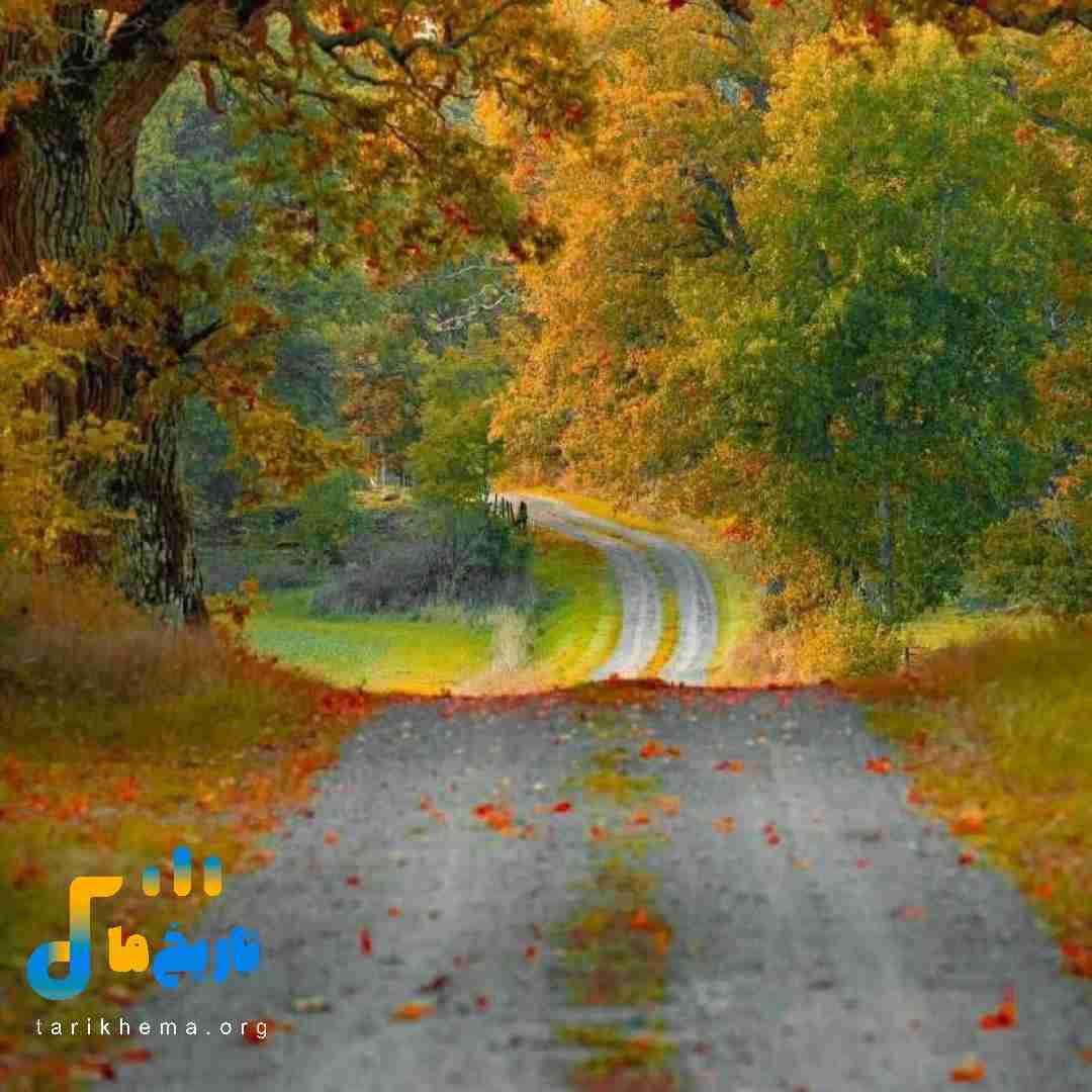 هی تکست نده چطوری بیبی خوب نیستش شبا حالم زیاد