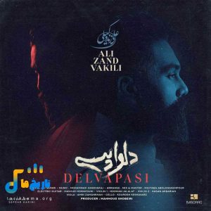 دانلود آهنگ جدید دلواپسی از علی زندوکیلی