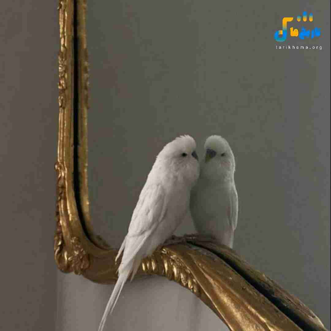 تورو میخوامت می تو بیبی دارم تورو نیازت می تو بیبی