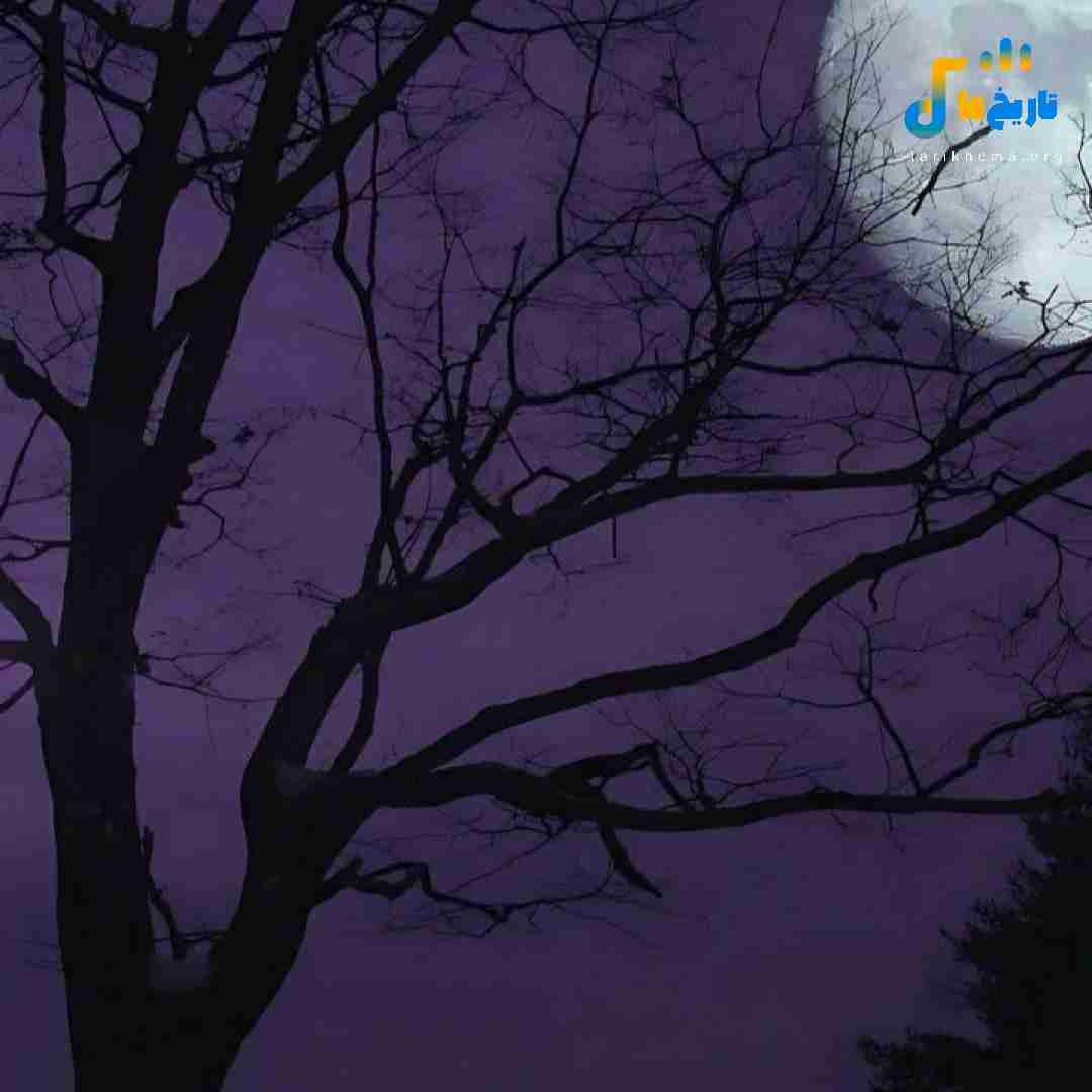 آدما دنبال ضعفت میگردن بزنن بهت