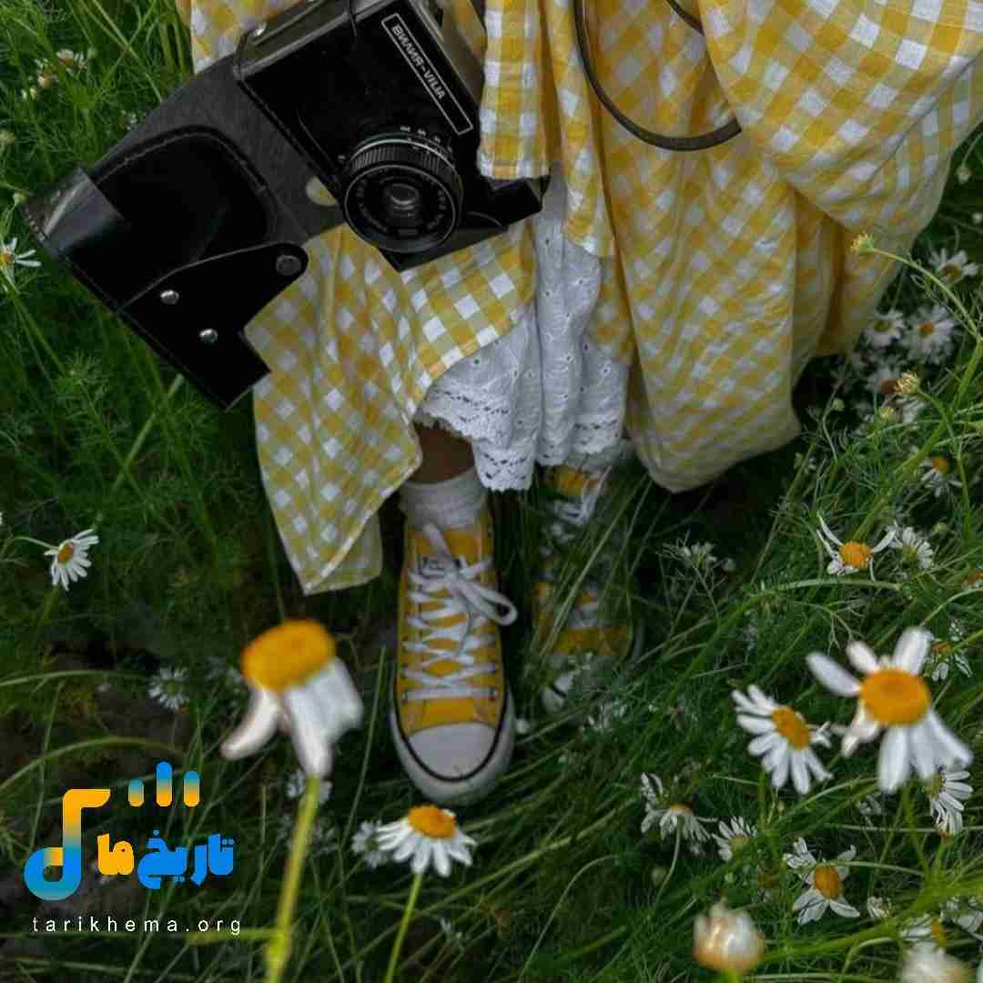  برداشتم دست از سرت نیستی جات الکل سگ مصبه