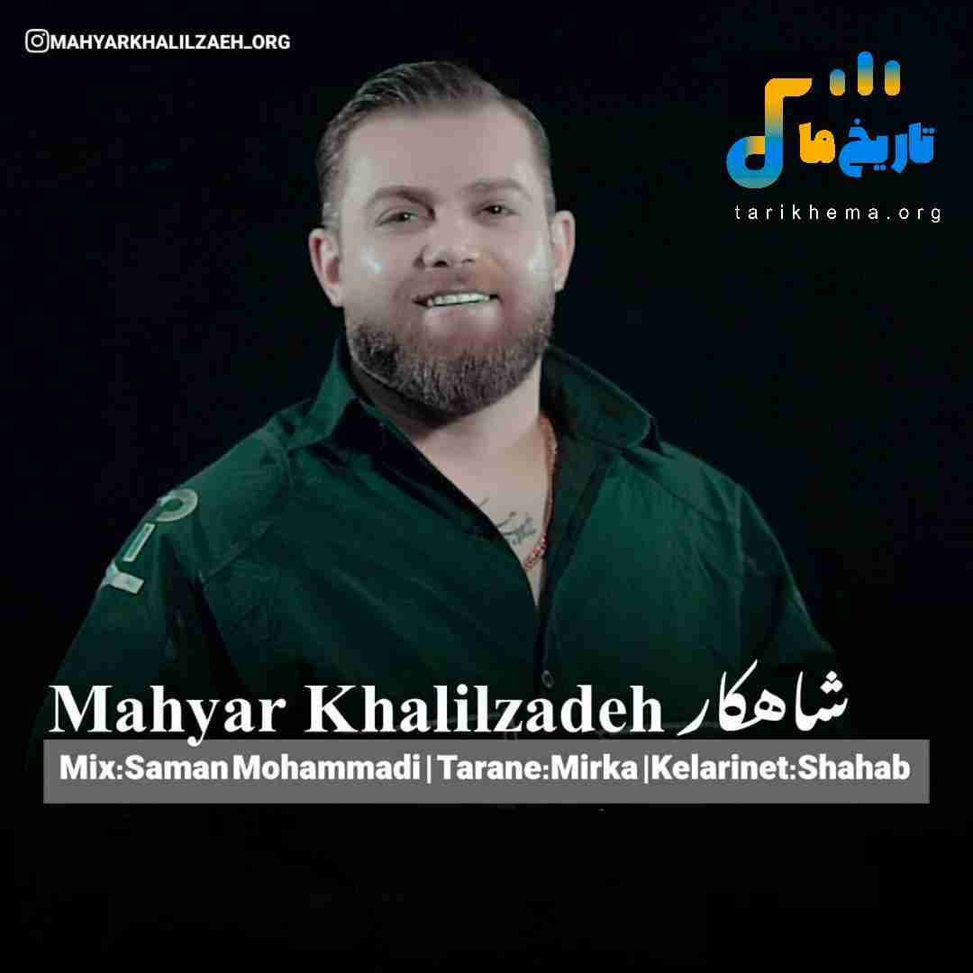 مهیار خلیل زاده شاهکار