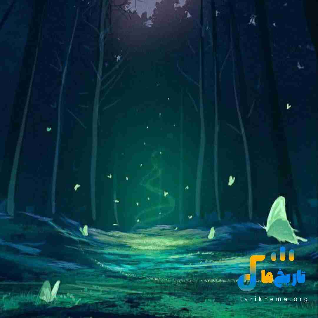  یادت میاد من کی ام یادته چی بین ما بود