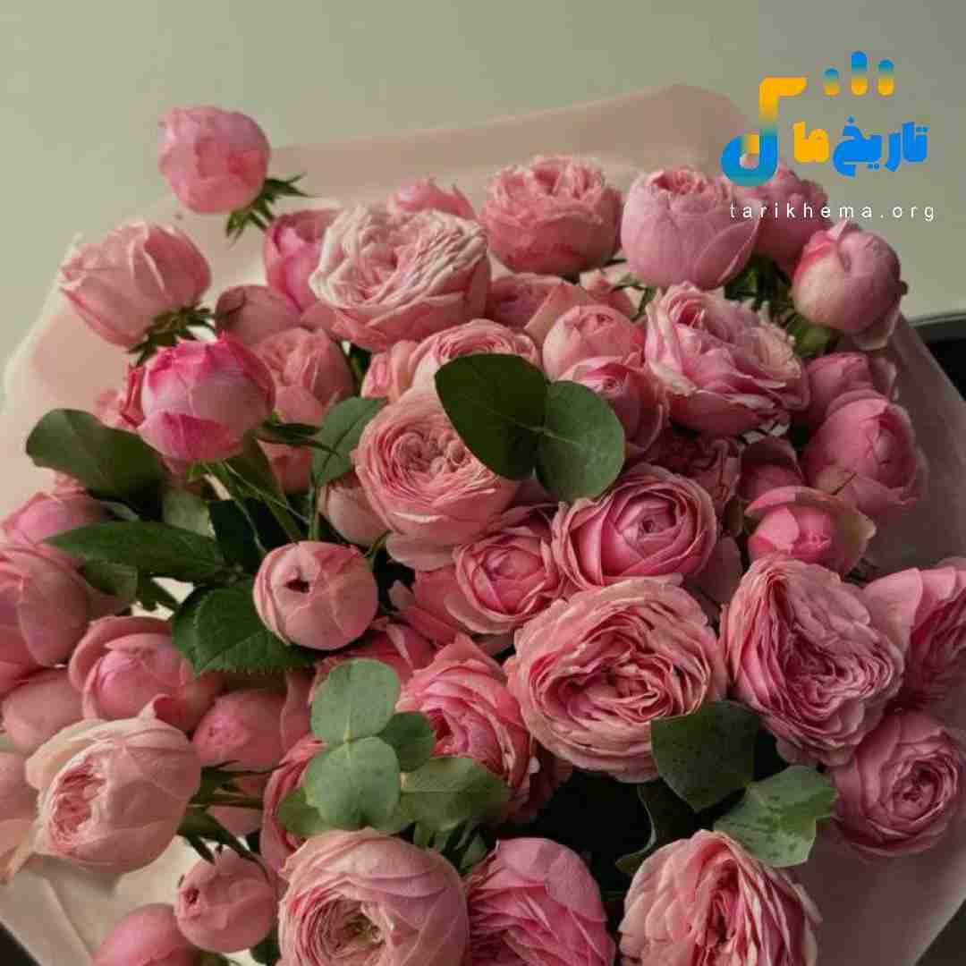  یه صوتی جیغی چیزی یه فازی یه شیک ریزی