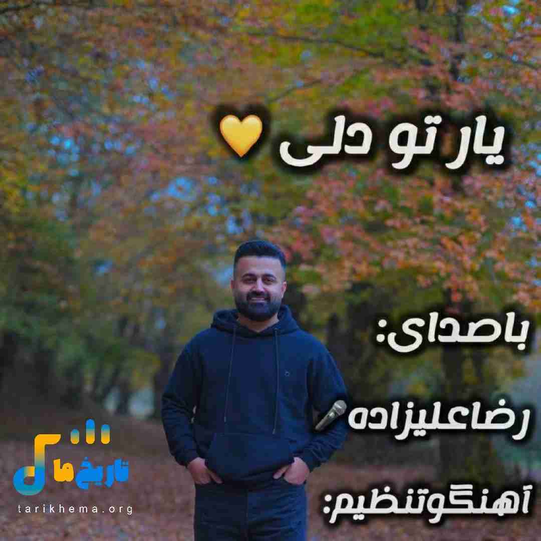 رضا علیزاده یار تو دلی