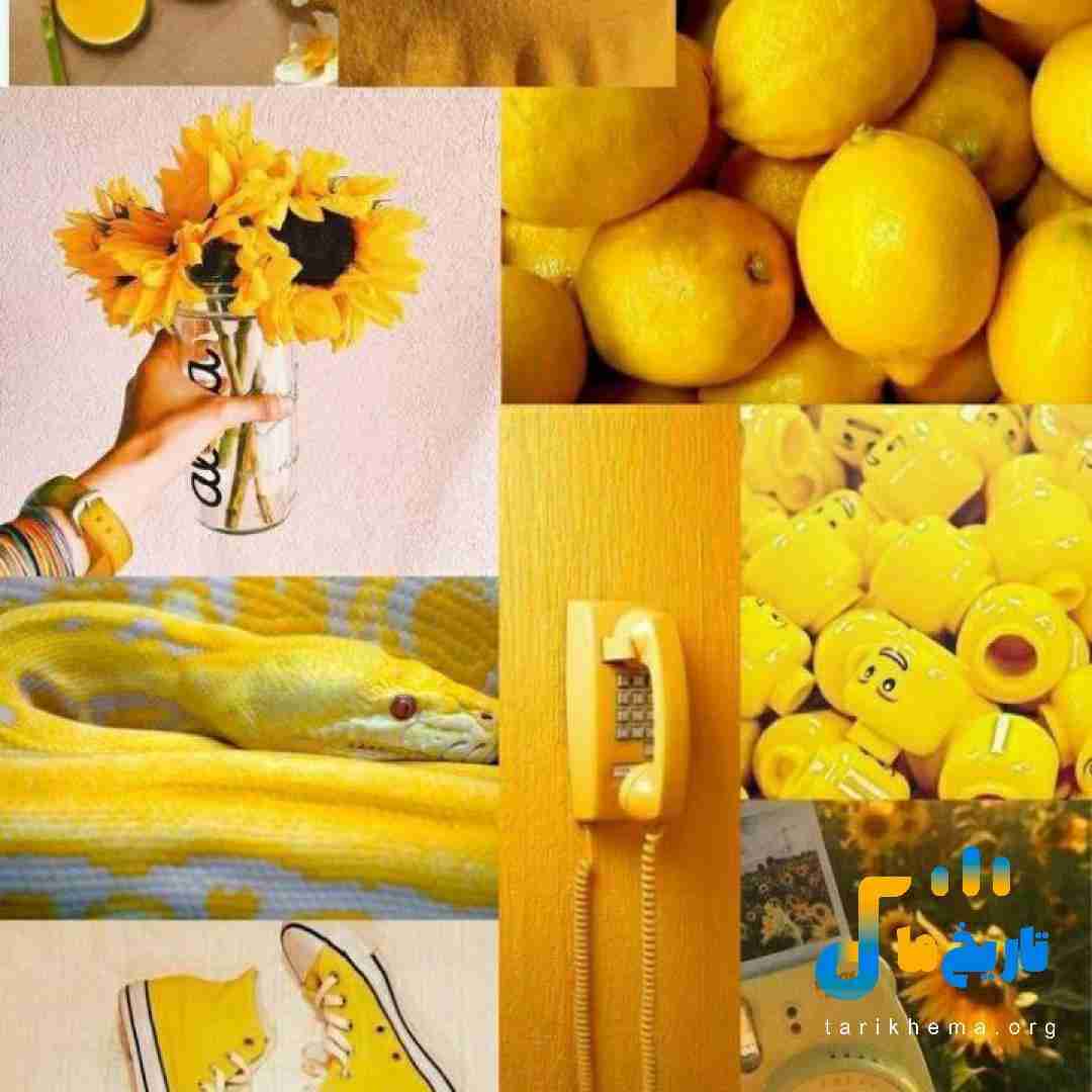 چقد حالمون بده انگار آفت به باغمون زده