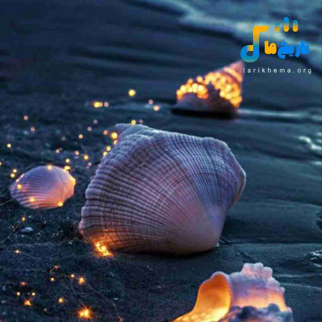 نگو همه چی رفت یادت خورد میشه بره کی عصابت
