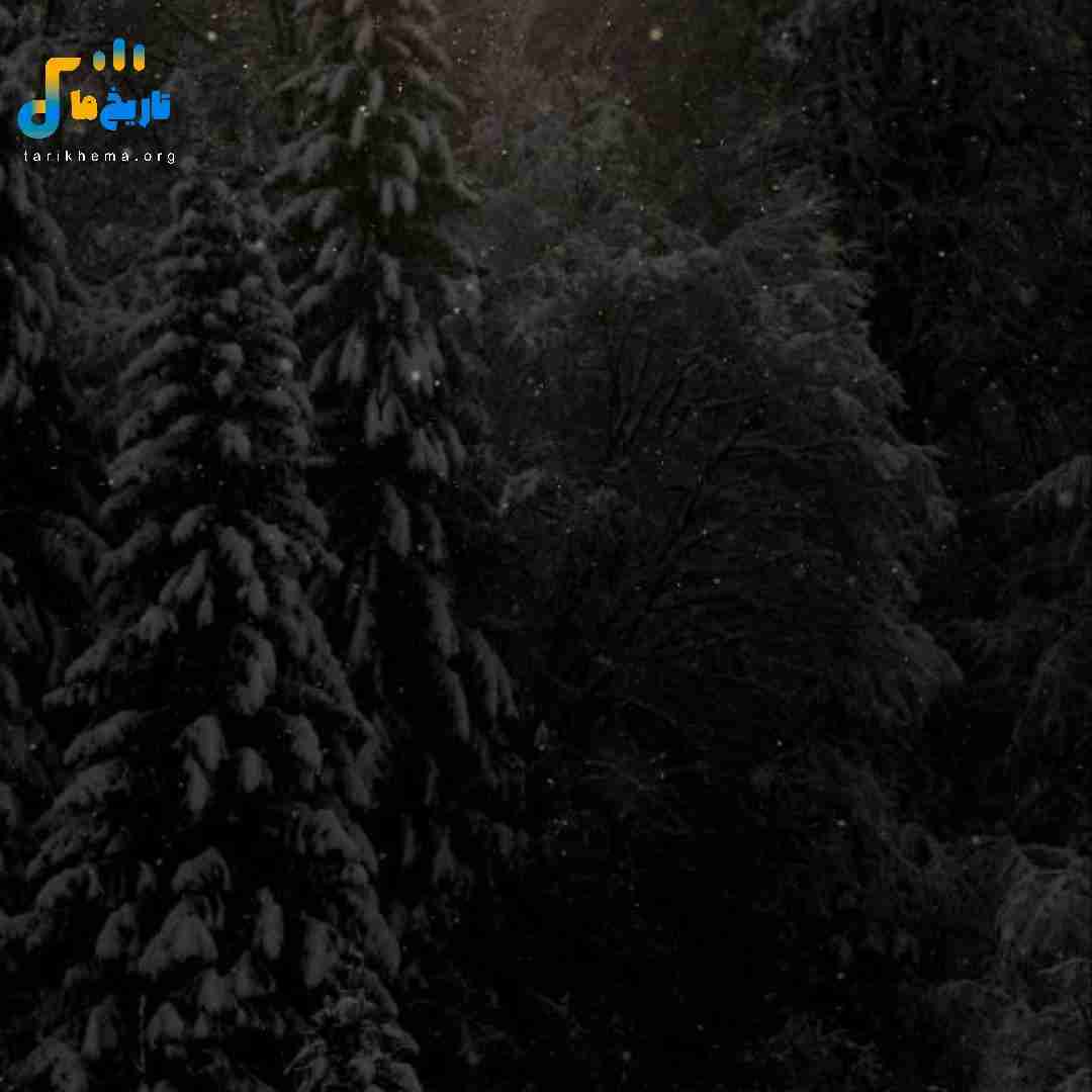 فک کردی کارات یادم میره نه فراموشیش (میکس اینستایی)